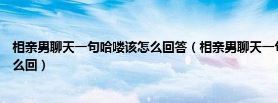 相亲男聊天一句哈喽该怎么回答（相亲男聊天一句哈喽该怎么回）