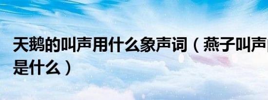 天鹅的叫声用什么象声词（燕子叫声的象声词是什么）