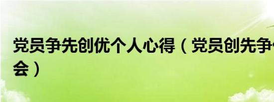 党员争先创优个人心得（党员创先争优心得体会）