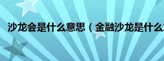 沙龙会是什么意思（金融沙龙是什么意思）