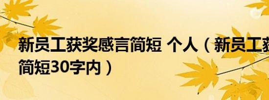 新员工获奖感言简短 个人（新员工获奖感言简短30字内）