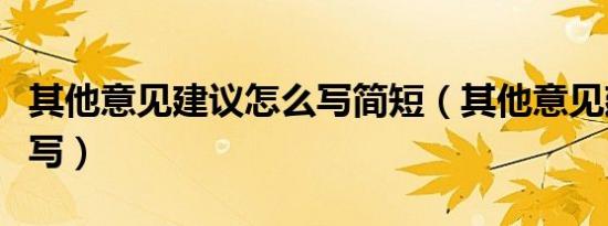 其他意见建议怎么写简短（其他意见建议怎么写）