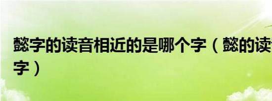 懿字的读音相近的是哪个字（懿的读音相似的字）