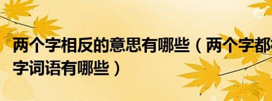 两个字相反的意思有哪些（两个字都相反的两字词语有哪些）