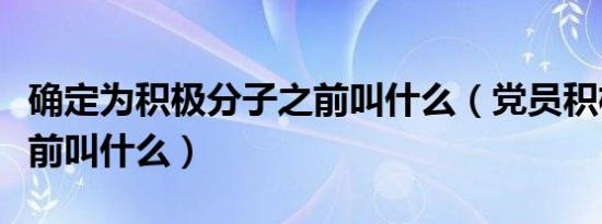 确定为积极分子之前叫什么（党员积极分子之前叫什么）