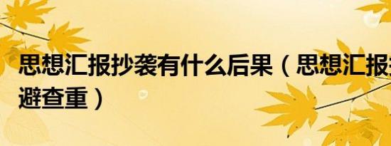 思想汇报抄袭有什么后果（思想汇报抄写如何避查重）