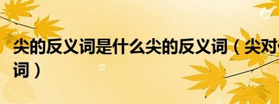 尖的反义词是什么尖的反义词（尖对什么反义词）