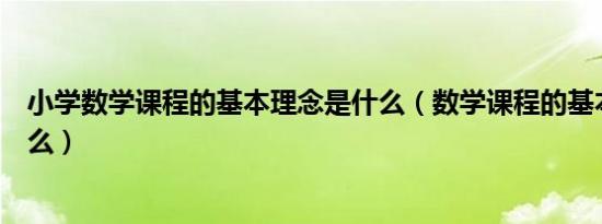 小学数学课程的基本理念是什么（数学课程的基本理念是什么）