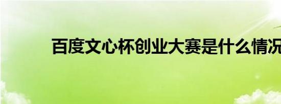 百度文心杯创业大赛是什么情况