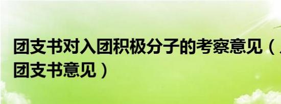 团支书对入团积极分子的考察意见（入团申请团支书意见）