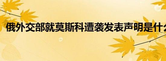 俄外交部就莫斯科遭袭发表声明是什么情况