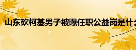 山东砍柯基男子被曝任职公益岗是什么情况