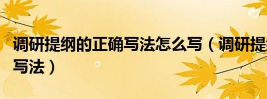 调研提纲的正确写法怎么写（调研提纲的正确写法）