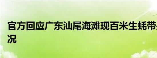 官方回应广东汕尾海滩现百米生蚝带是什么情况