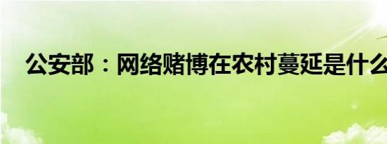 公安部：网络赌博在农村蔓延是什么情况