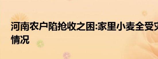 河南农户陷抢收之困:家里小麦全受灾是什么情况