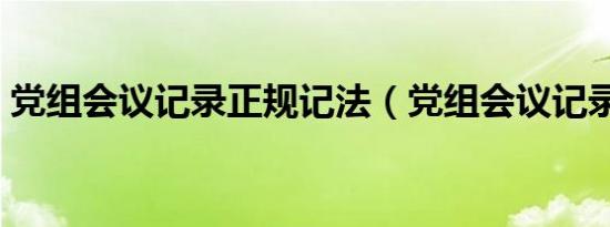 党组会议记录正规记法（党组会议记录记法）