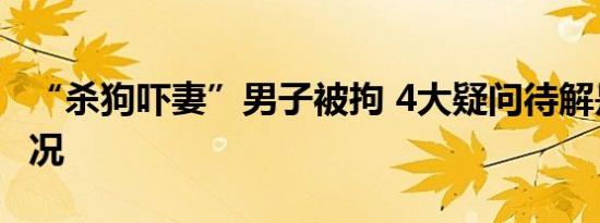 “杀狗吓妻”男子被拘 4大疑问待解是什么情况