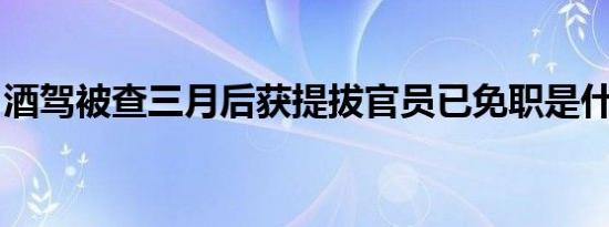 酒驾被查三月后获提拔官员已免职是什么情况