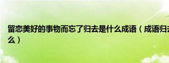 留恋美好的事物而忘了归去是什么成语（成语归去后面是什么）