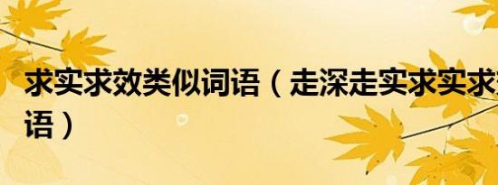 求实求效类似词语（走深走实求实求效类似词语）