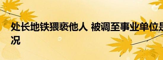 处长地铁猥亵他人 被调至事业单位是什么情况