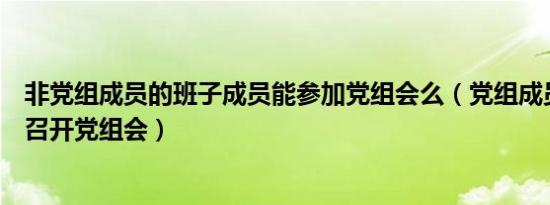 非党组成员的班子成员能参加党组会么（党组成员能否主持召开党组会）