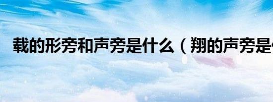 载的形旁和声旁是什么（翔的声旁是什么）