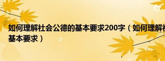 如何理解社会公德的基本要求200字（如何理解社会公德的基本要求）