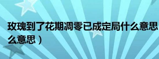 玫瑰到了花期凋零已成定局什么意思（定局什么意思）