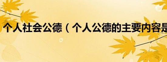 个人社会公德（个人公德的主要内容是什么）