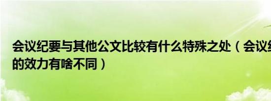 会议纪要与其他公文比较有什么特殊之处（会议纪要和文件的效力有啥不同）