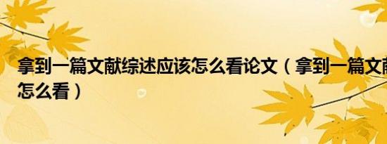 拿到一篇文献综述应该怎么看论文（拿到一篇文献综述应该怎么看）