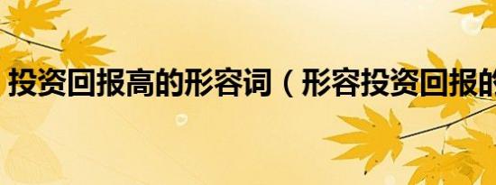 投资回报高的形容词（形容投资回报的词语）