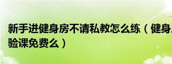 新手进健身房不请私教怎么练（健身房私教体验课免费么）