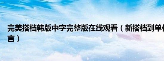 完美搭档韩版中字完整版在线观看（新搭档到单位后表态发言）