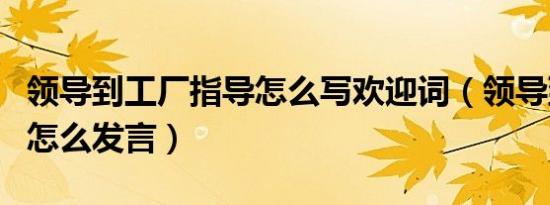 领导到工厂指导怎么写欢迎词（领导到厂里后怎么发言）