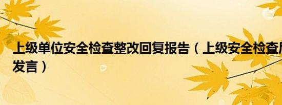 上级单位安全检查整改回复报告（上级安全检查后怎么表态发言）