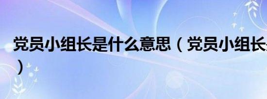 党员小组长是什么意思（党员小组长是干部吗）