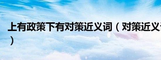 上有政策下有对策近义词（对策近义词是什么）