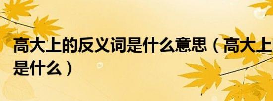 高大上的反义词是什么意思（高大上的反义词是什么）