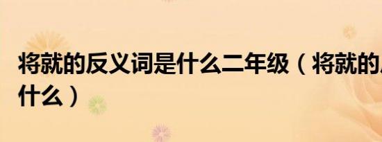 将就的反义词是什么二年级（将就的反义词是什么）