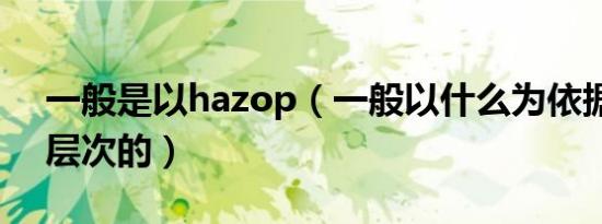 一般是以hazop（一般以什么为依据来划分层次的）