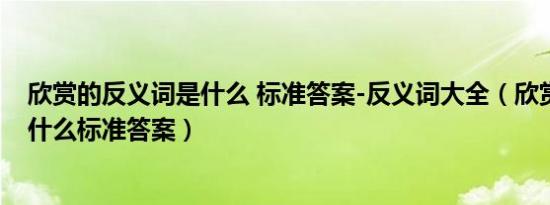 欣赏的反义词是什么 标准答案-反义词大全（欣赏反义词是什么标准答案）