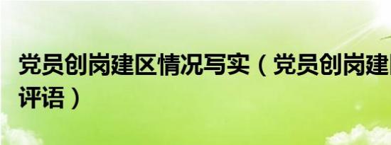 党员创岗建区情况写实（党员创岗建区责任区评语）