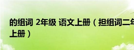 的组词 2年级 语文上册（担组词二年级语文上册）