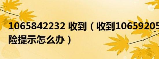 1065842232 收到（收到106592059短信风险提示怎么办）