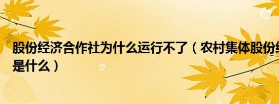 股份经济合作社为什么运行不了（农村集体股份经济合作社是什么）