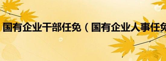 国有企业干部任免（国有企业人事任免程序）