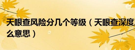 天眼查风险分几个等级（天眼查深度风险是什么意思）